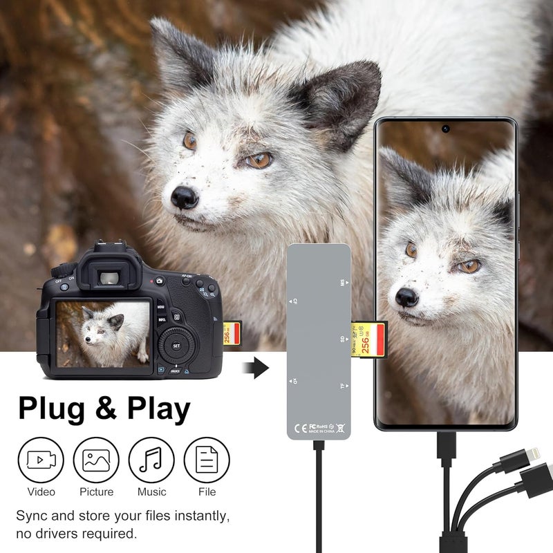 Ardaddyn Memory Stick pro Duo Adapter - 5 in 1 SD/TF/MS/CF/XD Card Reader for PC/Android/Lightning Device, Aluminum Multi Memory Card Reader USB C Lightning OTG Adapter Memory Stick pro Duo Reader for iPhone - Image 5
